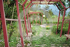 Secret Garden in Spring Sunny Day