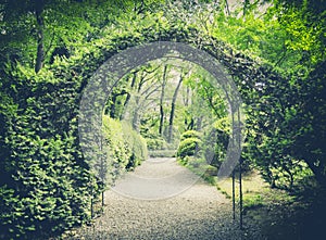 Secret garden in vintage style