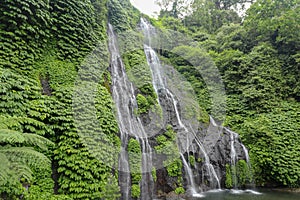Secret jungle waterfall cascade in tropical rainforest with rock