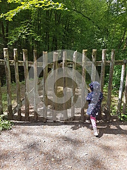 Secret path in the forest