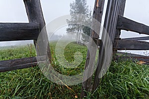 Secret path opening to forest