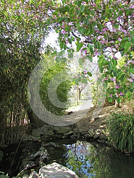 Secret pond (Paloma Park, Benalmadena, Spain)