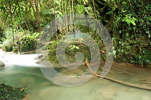 Secret pool in rainforest, Agua Azul, Mexico photo