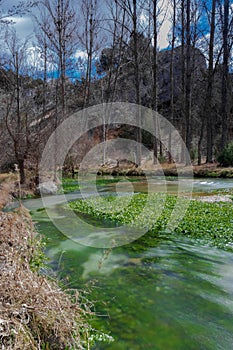 Secret river with fabulous aquatic plants