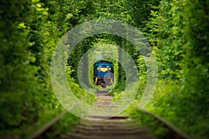 Secret train 'tunnel of love' in ukraine. Summer photo