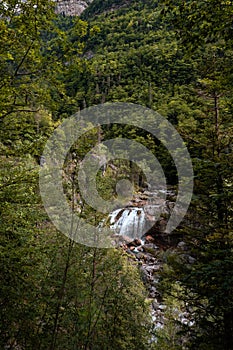 Secret waterfall hidden in the woods