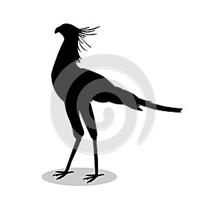 Secretary bird black silhouette animal