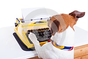 Secretary typewriter dog