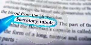 secretory tubule biological word displayed on blue colour covering text form on white paper sheet