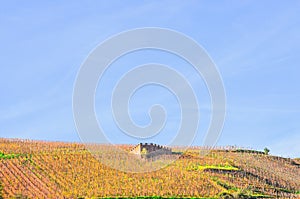 Section of 1500s century castle, in french wine vineyard