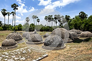 A section of the 20 visible stupas at Kathurugoda Ancient Vihara.