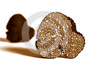 Section of black truffle