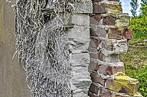 Section of a brick wall