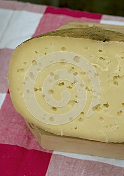 Section of cheese made from goat milk