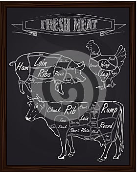 Section diagram of a pig cow and chicken