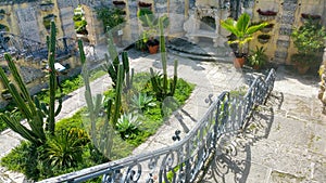 Section of garden at Vizcaya photo