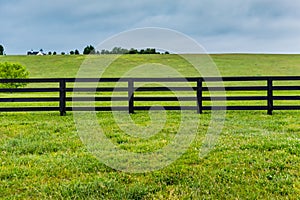 Section of Horse Fence and Pasture photo