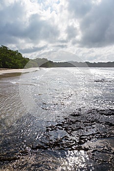 Playa Langosta Costa Rica photo