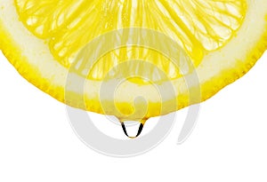 Section lemon with drop