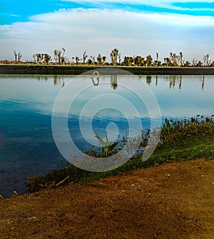 A section of Love Lake Dubai