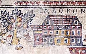 Section of mosaic floor exhibited in the Madaba Archaeological Park