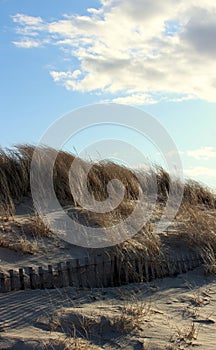 Section of old rusting wood fencing at sandy beach