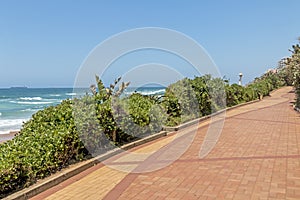 Section of Paved and Patterned Vegetation Lined Beach Walkway