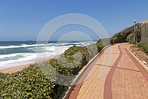 Section of Paved and Patterned Vegetation Lined Beach Walkway