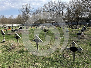 Section of the poor in the public cemetery