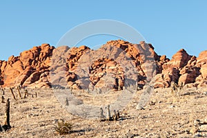 Section of Red Rock Valley Park, Nevada.