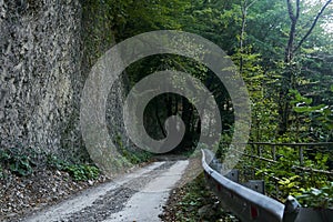 Section of a road with an anti-rockfall net on a rock ledge in a mountain forest