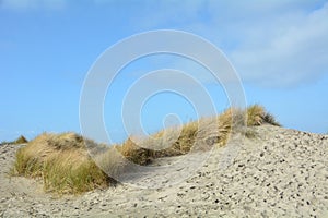 A section of the sand dunes at Bob Straub State Park near Pacific City, Oregon