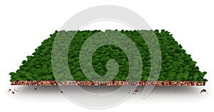 Section of soil layers with green grass 3d illustration