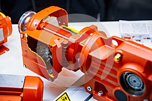 Sectional view of bevel gearboxes, helical gearboxes and motor gearboxes