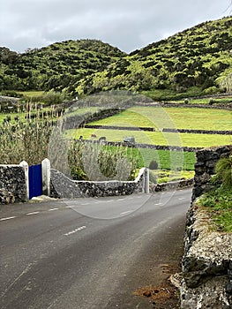 Road and Pastures on Terceira Island in the Azores photo