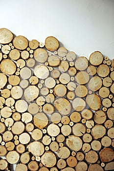 Sections of wooden logs used as decoration in interior home design