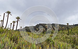 Sector of the Siecha lagoons in the Chingaza paramo A photo