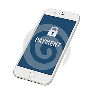 Secure mobile payment interface