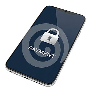 Secure mobile payment interface