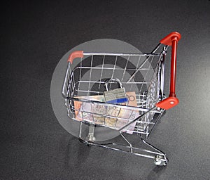 Secure shopping cart