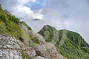 Hiking on Bucsoiu mountain in a summer day
