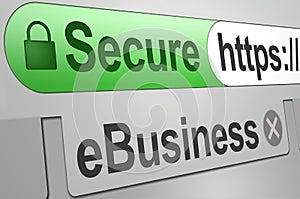 Secure web business transaction