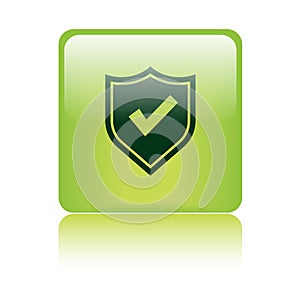 Secured / security icon web button