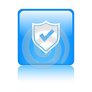 Secured / security icon web button