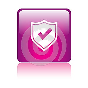 Secured / security icon web button