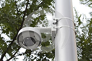 Security cam in a public park