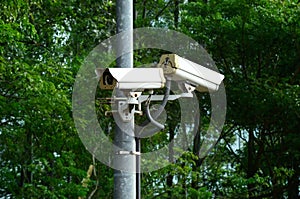 Security Camera Equipment Twin CCTV on the road with green plants background