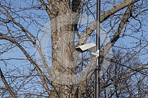 Security camera in park