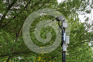 Security cameras in the park. Surveillance cameras on a pole