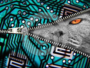 Security cat face surveillance printed circuit board unzip unzipped zip zipper eye camera digital spy spying animal